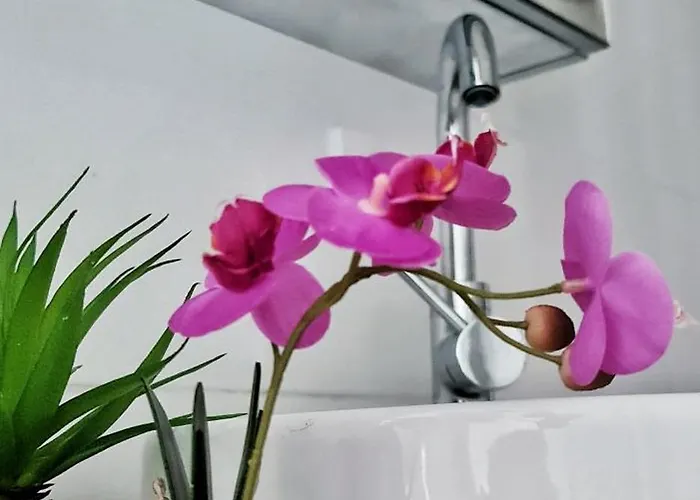 Apartament N3-barbacane-pieds Cite-clim Mobile